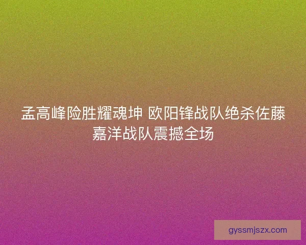 孟高峰险胜耀魂坤 欧阳锋战队绝杀佐藤嘉洋战队震撼全场