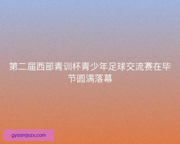 第二届西部青训杯青少年足球交流赛在毕节圆满落幕